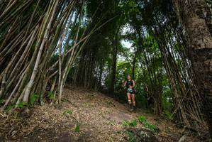 BIB: 
                            <button type="button" onclick="openModal(19395860)" class="btn btn-primary btn-sm float-right btn-popup" data-toggle="modal" data-target=".modal-high-quality">
                        <i class="fas fa-shopping-cart"></i> Add to Cart
                    </button>
                                            <button type="button" onclick="isThisMe(19395860, true)" class="btn btn-success btn-sm float-right btn-popup btn-isme hidden" data-toggle="tooltip" data-placement="bottom" title="นี่คือรูปของคุณใช่ไหม คลิกที่นี่เพื่อเอาเข้าอัลบั้ม">
                        <i class="fas fa-plus"></i> Add to album
                    </button>
                    <button type="button" onclick="isThisMe(19395860, false)" class="btn btn-warning btn-sm float-right btn-popup btn-isnotme hidden">
                        <i class="fas fa-ban"></i> Remove from album
                    </button>